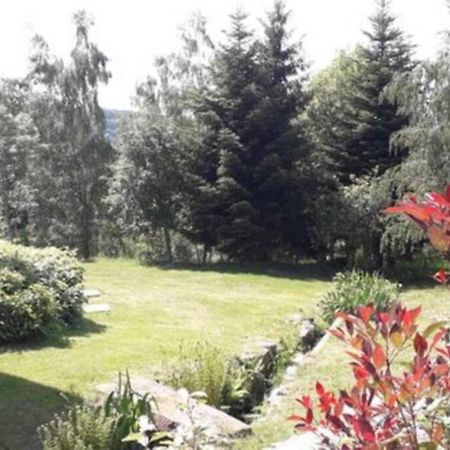 Gite De Moyenne Montagne Anould Экстерьер фото